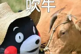 堂哥经常爱在我面前吹牛，我揭穿他的话，会不会连兄弟都没得做？图片