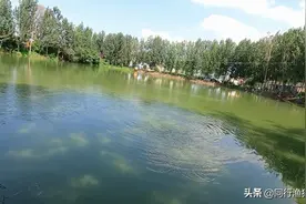 黑坑老板给官二代偷偷打窝，钓友当场要求退票，网友：栽跟头了吧图片
