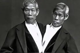 连体兄弟赴美表演，暴富后娶姐妹花，还生了22个孩子图片