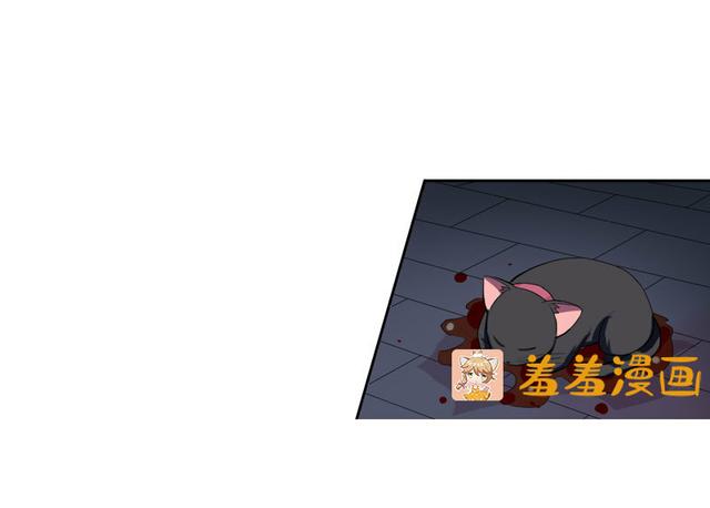 夜路走多了，竟捡到宝，带着巨钻的小黑猫一只