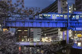 千万别在深夜试探人性：这9.5分神综，刷新我三观图片