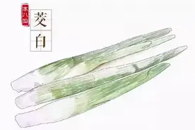 蔬菜界的“水中参” 吃它好处多！图片