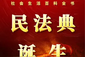 岩中花树：中国民法典百年风雨路图片