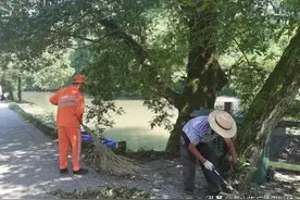 专业人干专业事！黄山市这个项目治理范围全国最广图片