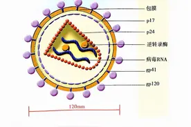 抽血担忧感染HIV/艾滋病？小伙您想多了！图片
