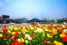 二次元、新能源、张开口，西博城这周好热闹图片