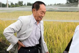 谢华安院士：爱国情怀是袁隆平勇攀高峰的动力图片