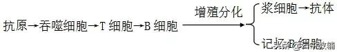 高中生物必修三知识点总结