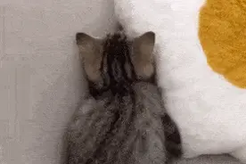 表情包｜不要惹我图片