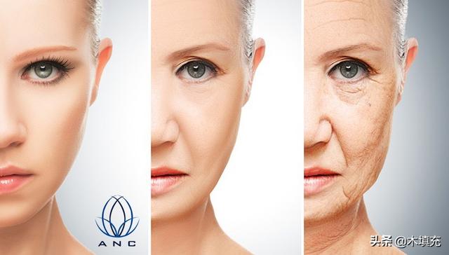 绉戞櫘涓€涓嬶紝鑳跺師铔嬬櫧锛堟洿鏂帮級