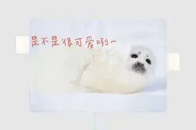 周总结 | 现在出发，还来得及图片