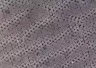 如果矿物会说话——欧泊