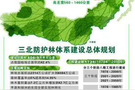 大漠雄鹰:3.15沙尘暴诗鉴图片