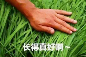 女主播一对一私聊，只要充值、送礼物，还能线下“交友”，一查是这样的图片