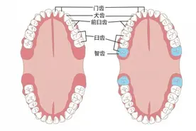 “千万别把智齿一次性拔完”上热搜，原来3种情况下可以保留图片