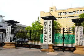好消息！河南省开展鹦鹉标识试点，人工繁育这四种鹦鹉可合法出售图片