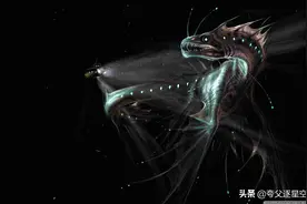 挺进万米深渊！“奋斗者号”成功坐底：马里亚纳海沟到底有啥生物图片