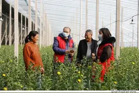 江苏摄影大咖春聚邳州，张张照片正能量（3）图片