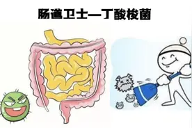 肠道卫士—丁酸梭菌在水产养殖的作用图片