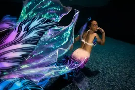 你想知道的所有关于美人鱼的问题，答案都在这里了图片