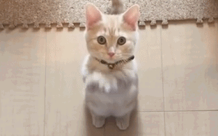 9款氨基酸洗面奶测评，胜出的竟是不起眼的国货？性价比之王