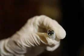 超强黑科技！科学家发明“可食用”机器人，能直达病灶处进行修复图片