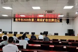 连创新纪录！桂平市一石灰岩矿采矿权拍出7.85亿元高价图片