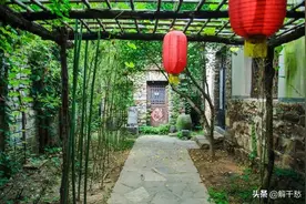 农村俗语“门前栽竹，子孙享福”是啥意思？难怪有许多人爱栽竹子图片