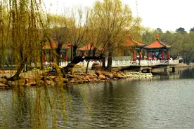 春暖花开！长春各大公园即将“恢复生机” ，哪个是你最期待的？图片