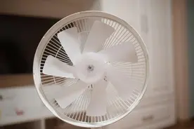 出乎意料的好：米家直流变频落地扇1X使用分享图片