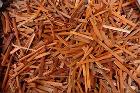 「活血化瘀」活血药物大全图片