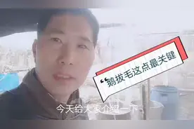 杀鹅拔鹅毛这一点才是最关键的，掌握不好的话，鹅就废了视频封面