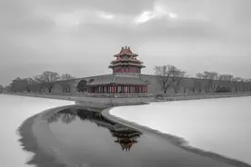 读史｜“打虎”中屡次反转的庆亲王图片