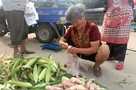 买的红薯苗没根，是剪的，能活吗？视频封面