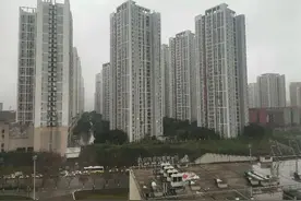 别再疑问鸡是怎么来的，鸡是由凤凰演变过来图片