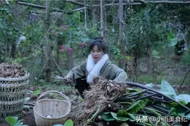 李子柒家的芋头熟了，2000万粉丝围观，一道芋头鸡竟如此精致图片