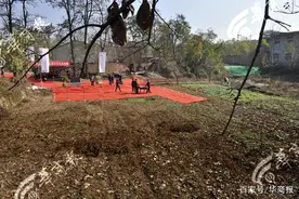 “路上行人欲断魂”唐代大诗人杜牧墓地，惨变菜地图片
