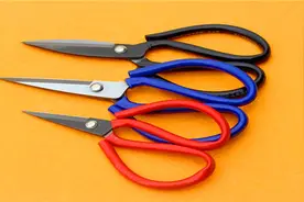 剪刀不锋利了怎么办？只需一个易拉罐就能轻松搞定，实用图片