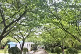 让你人生开挂的30个心理学技巧图片