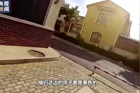 “妈妈像翼龙一样美！”图片