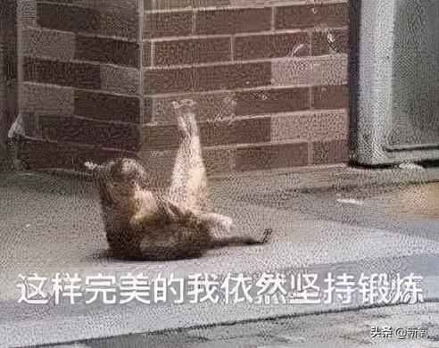 为什么泫雅的身材从来没有崩过？