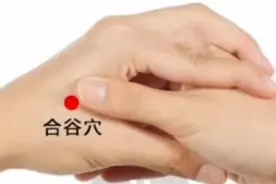 “3”“4”“5”“6”！专家推荐的养生秘笈来了图片