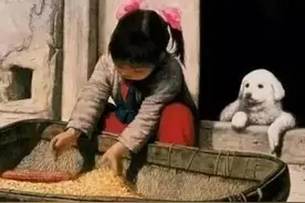 还记得小时候的农村吗？冬天睁开眼满屋子霜，趴炕上看老鼠打架图片