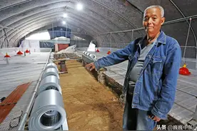 6旬大叔40年干4种营生赚200万，言说敢拼才会赢，看啥情况图片