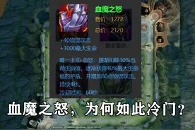 血魔之怒能提供高额护盾，为什么没有脆皮英雄使用？弊端太多了图片