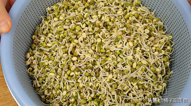 生豆芽的方法：方法详细讲解，看完你也会，0失败的教程