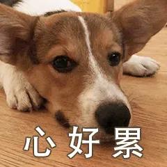 һֻҪǮ