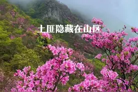 剿匪奇闻：区长下乡剿匪，一无意举动，让剿匪小分队免于灭顶之灾图片