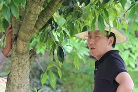 7万亿资本进农村，最新文件指引年轻人！盯准12类产业100种新项目图片