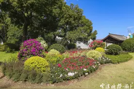 超美花境！宁波月湖又有新景可以打卡了图片